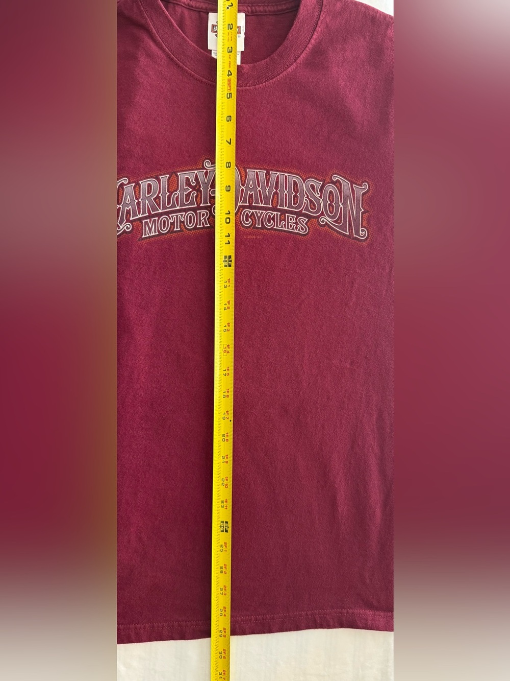 Harley-Davidson Tee Lynchburg Virginia Graphic Short Sleeve XL Burgundy USA 2009 - Picture 9 of 15